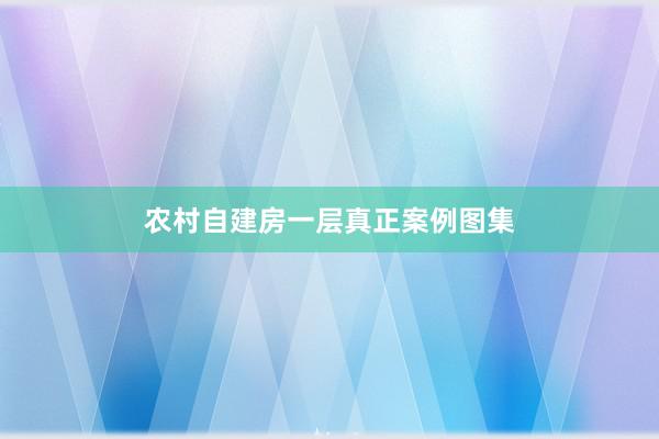 农村自建房一层真正案例图集